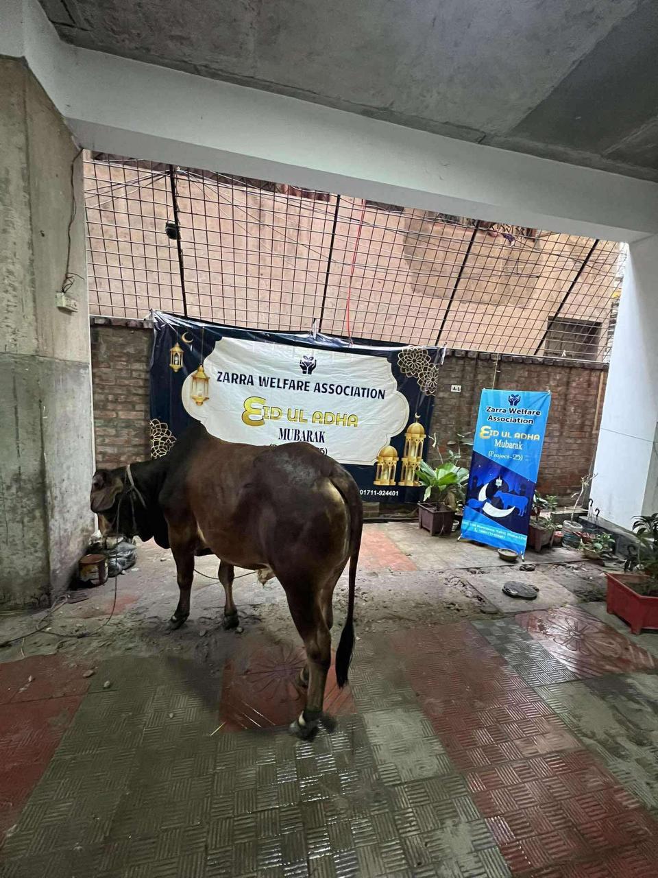 Eid ul Adha Project-2025 image